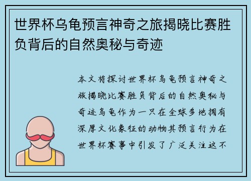 世界杯乌龟预言神奇之旅揭晓比赛胜负背后的自然奥秘与奇迹